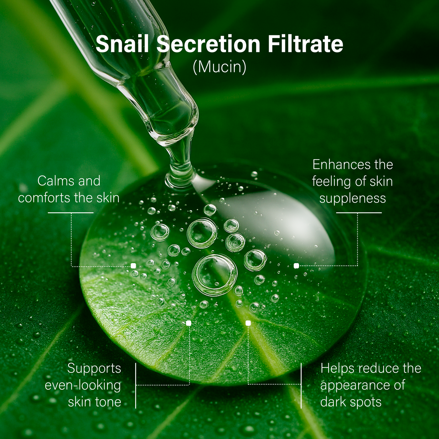 Close-up of a green skincare serum drop on a leaf, labeled with benefits of snail secretion filtrate: calms skin, evens tone, reduces dark spots, and enhances skin suppleness.