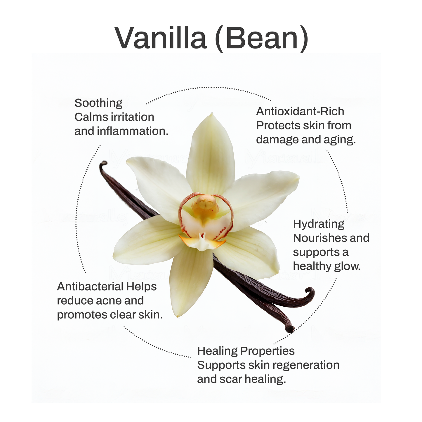 Whipped Grass-Fed Tallow Balm with Vanilla Bean